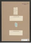 Libellus grevillei (Ag.) Cleve (de-Toni-Nr.: Genus 5, Species 856) Zeichnungen Sammlung Grunow Nr. 1699 (NHMW-BOT-W0368571)